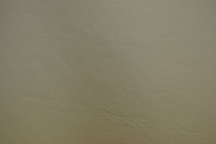Oatmeal 20:20 Leather